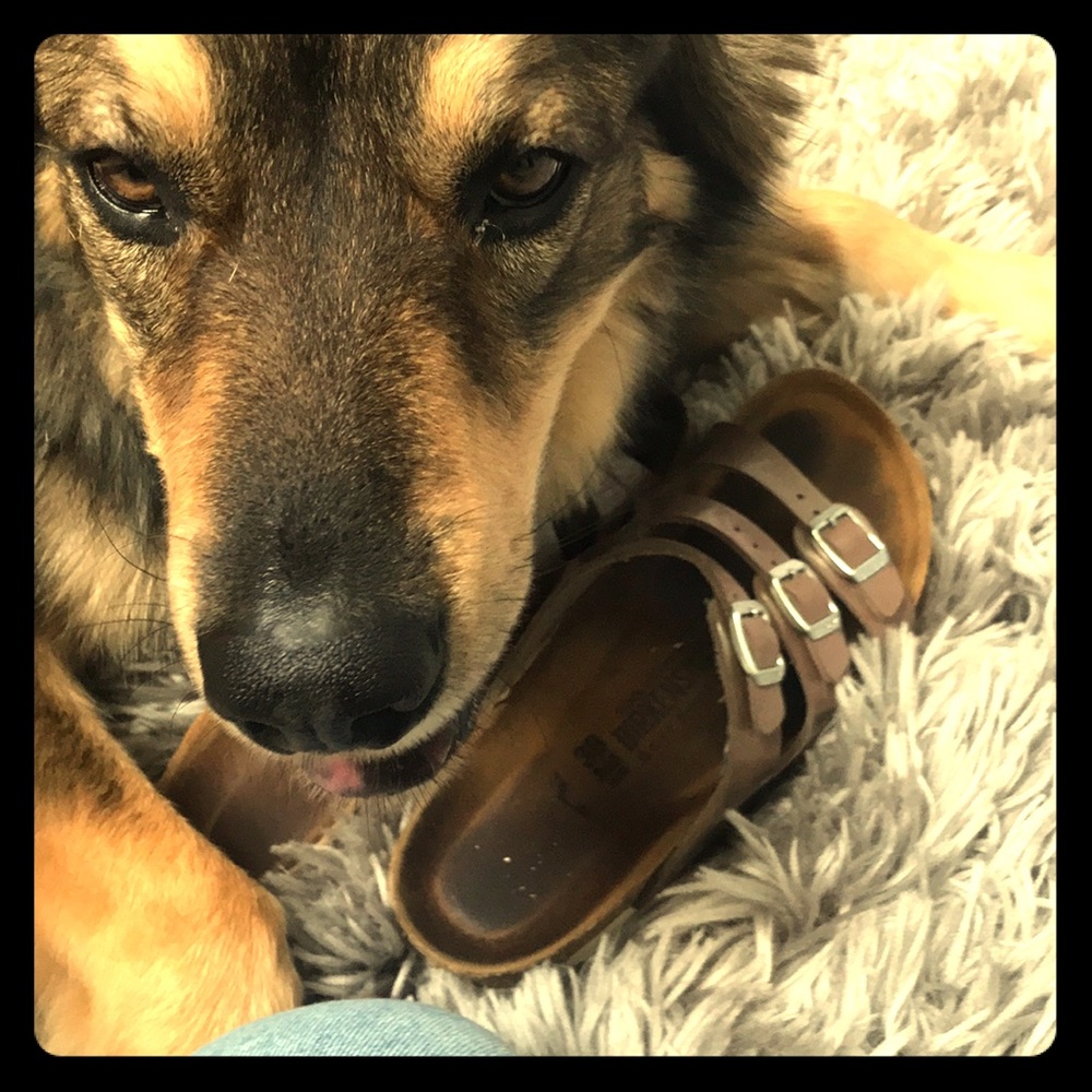 Birkenstocks size 38